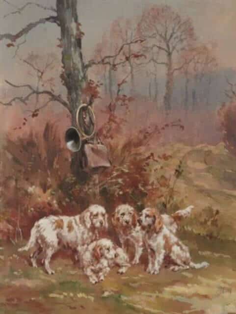 Grand Basset Griffon Vendeen