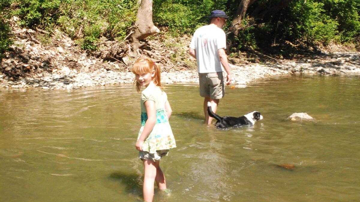Cardigan Welsh Corgi and a family in the creek.
