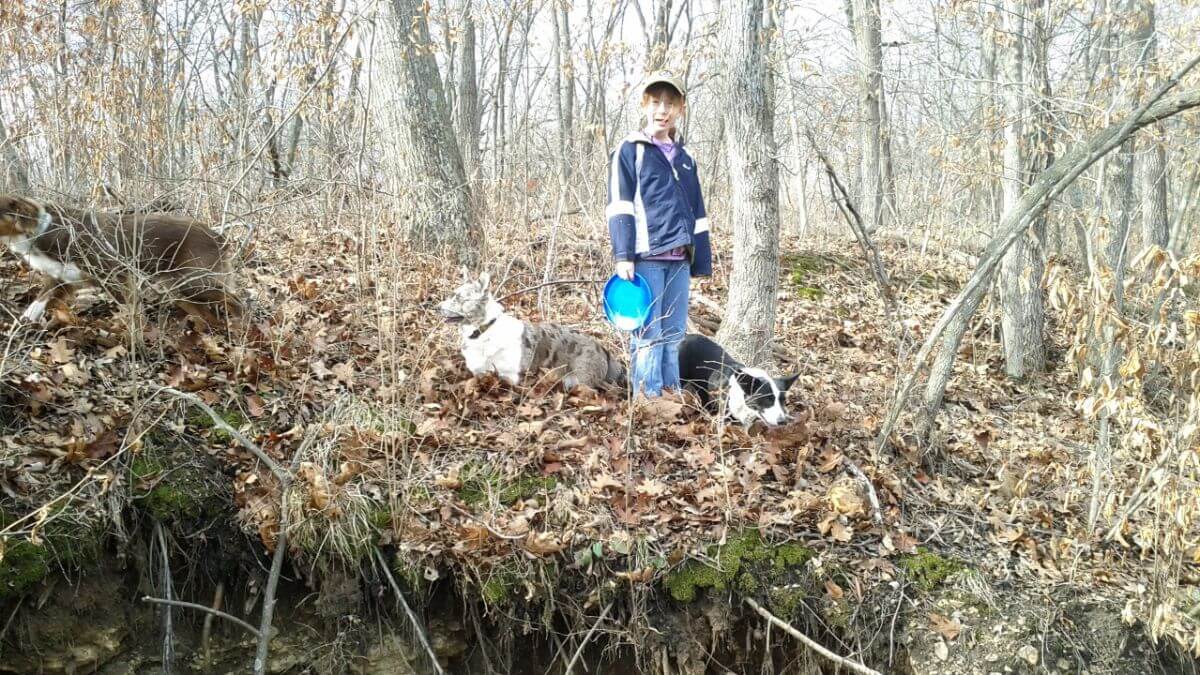 Two Cardigans and a little girl in the woods.