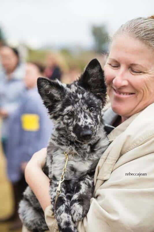 Happy woman holding a Mudi dog in her arms.