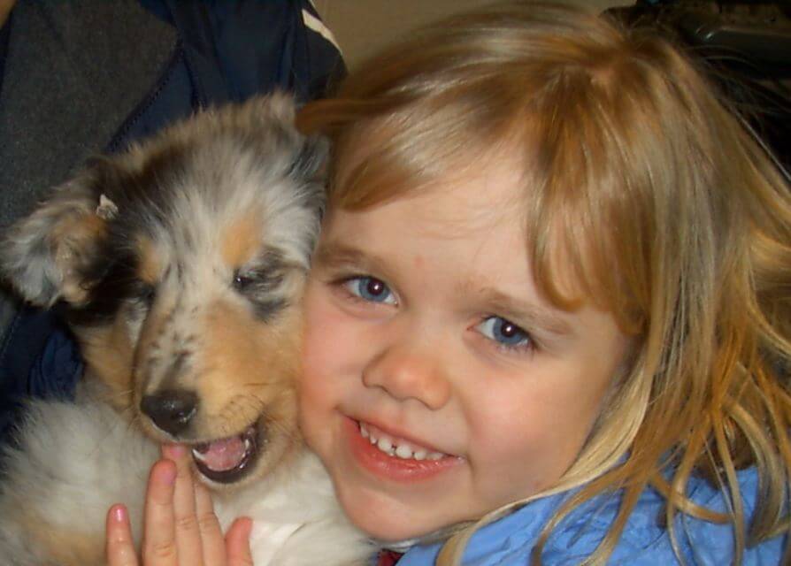 Collie