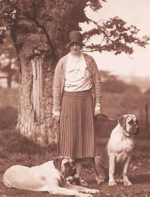 Mastiff