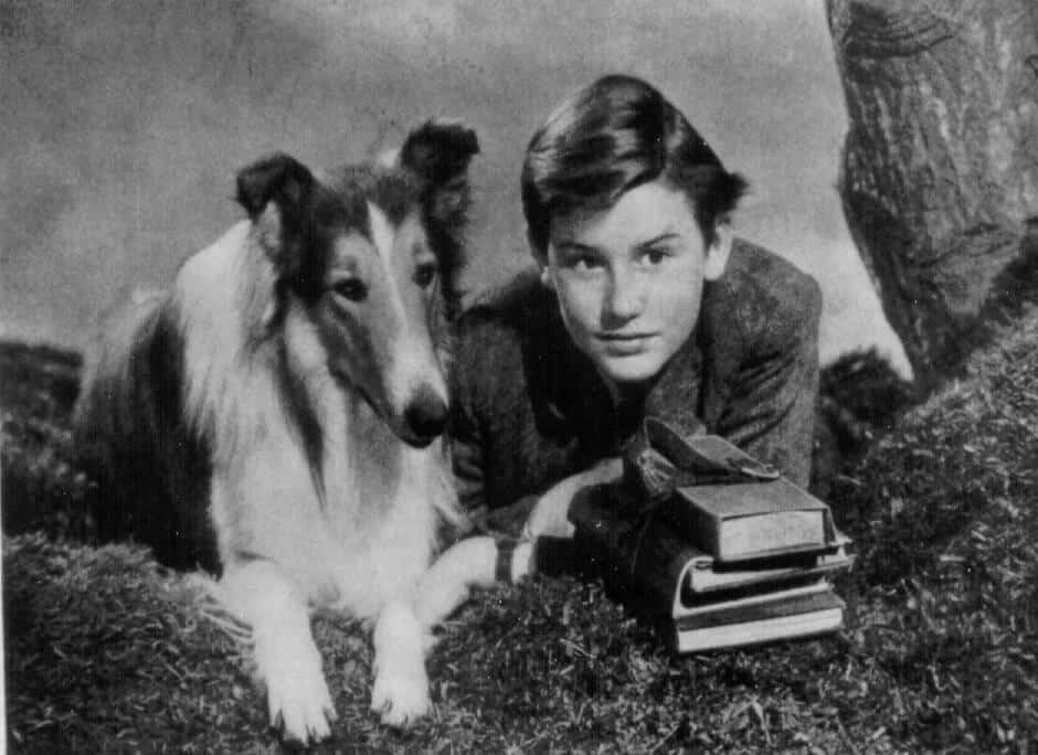 Lassie pictured with Roddy McDowell in the movie “Lassie Come Home”, c. 1943.