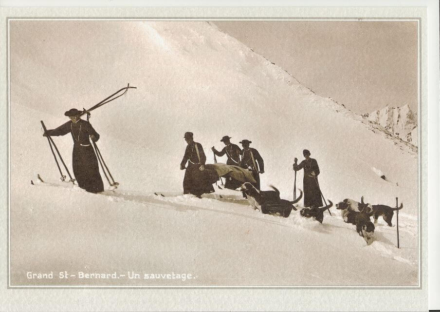 Saint Bernard