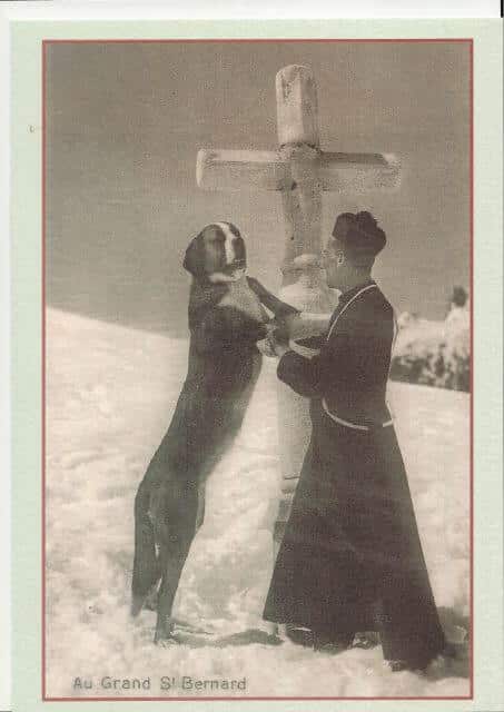 Saint Bernard