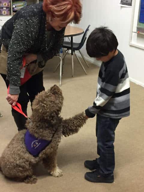 Lagotto Romagnolo