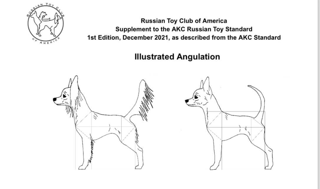 Angulation-Drawing-from-the-Illustrated-Standard