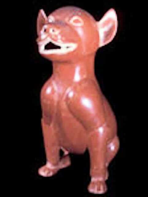 Colima Dog