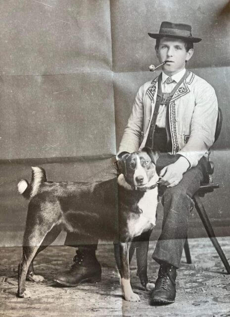 Appenzeller Sennenhund