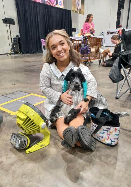 Junior at a dog show