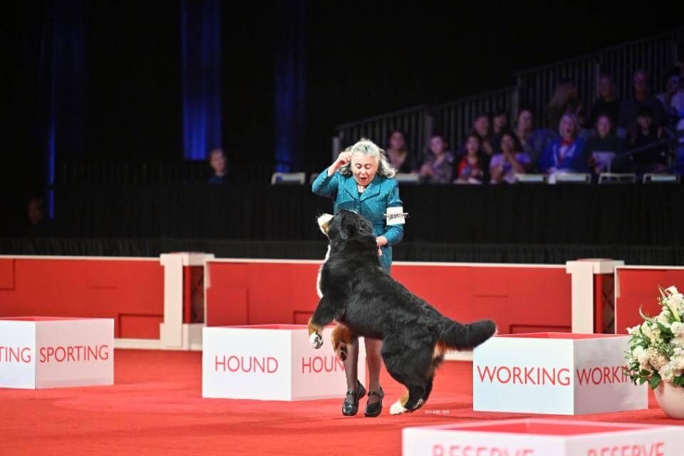 ‘Ulli’ & Beth Dennehy