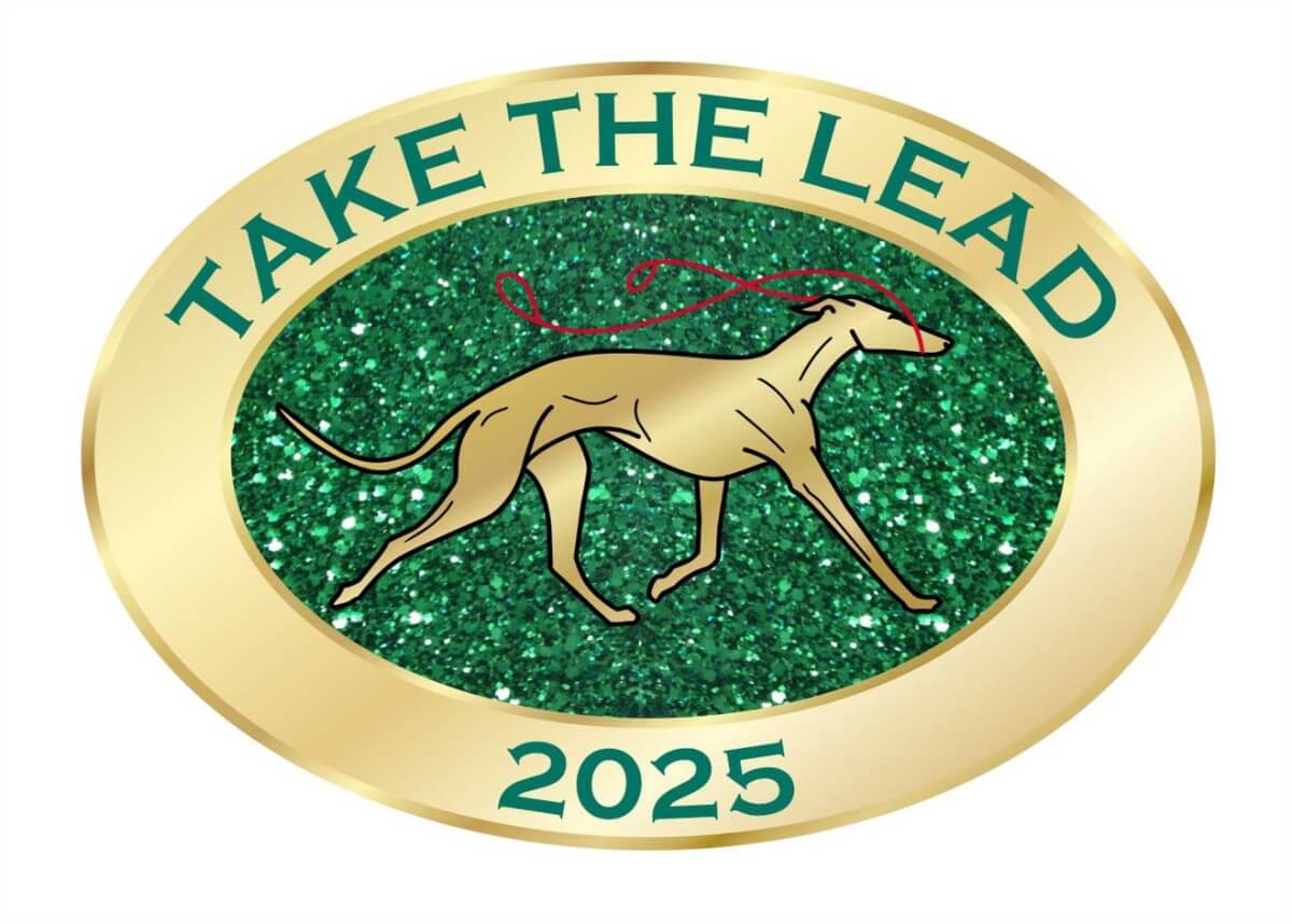 Take The Lead 2025 banner logo