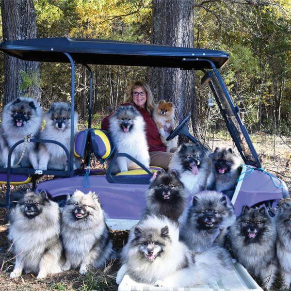 Beth Blankenship - Trumpet Keeshond