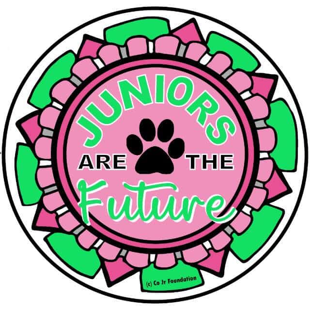 juniors decal pink green