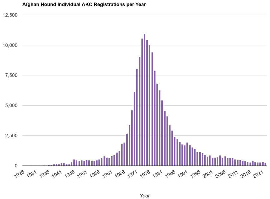 Registration stats