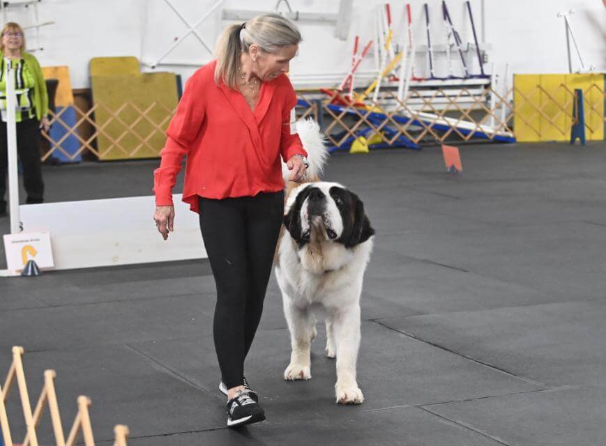 Saint Bernard