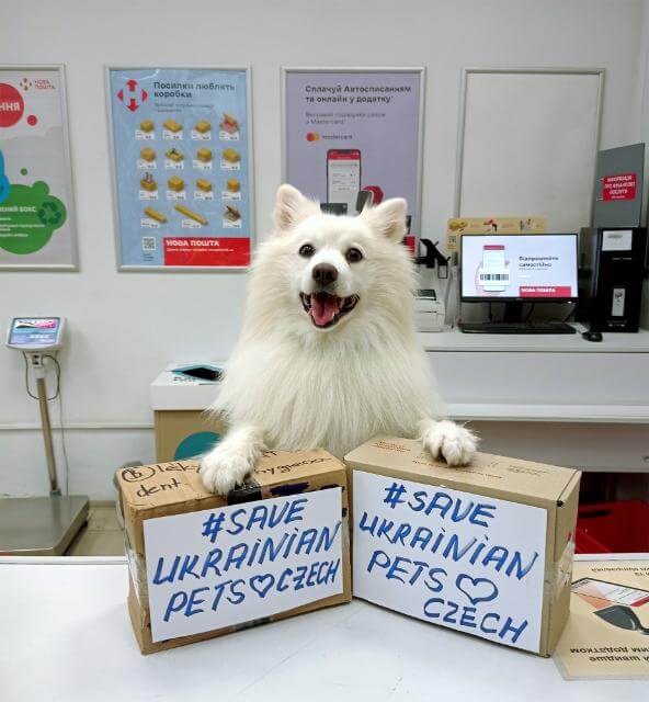 Simba sends help from Chezh to pets in needin Ukraine