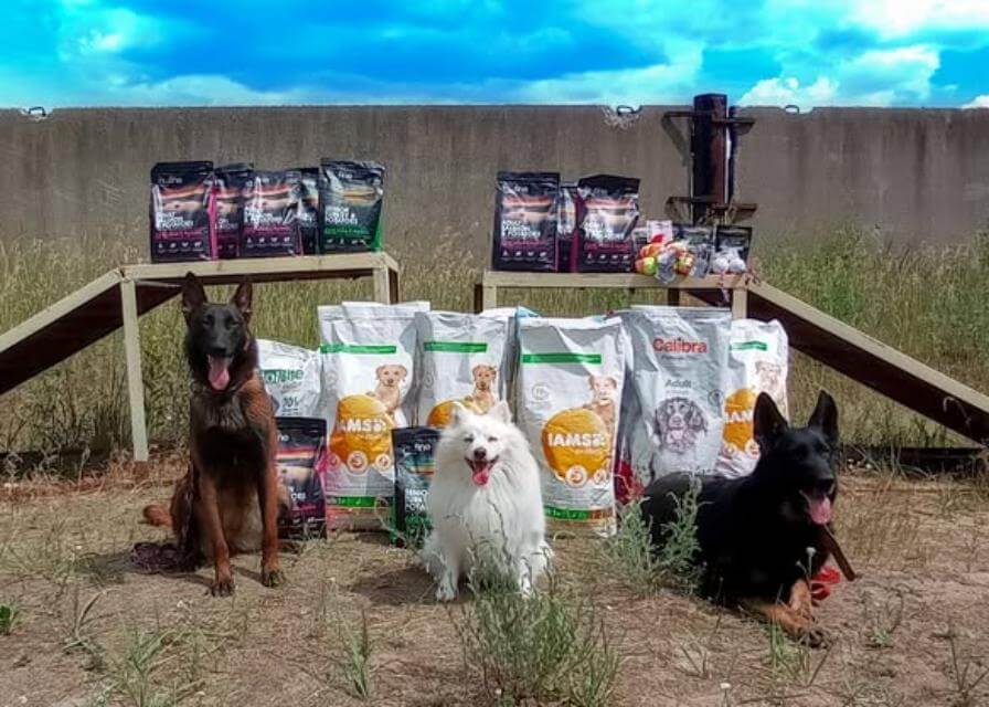 Simba gave help from Chezh to a police kennel