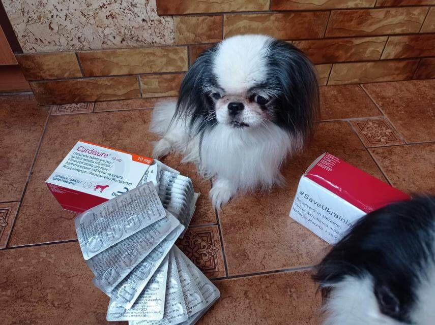 Expensive and very important medicine arrives.