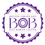 The B.O.B. Cluster logo