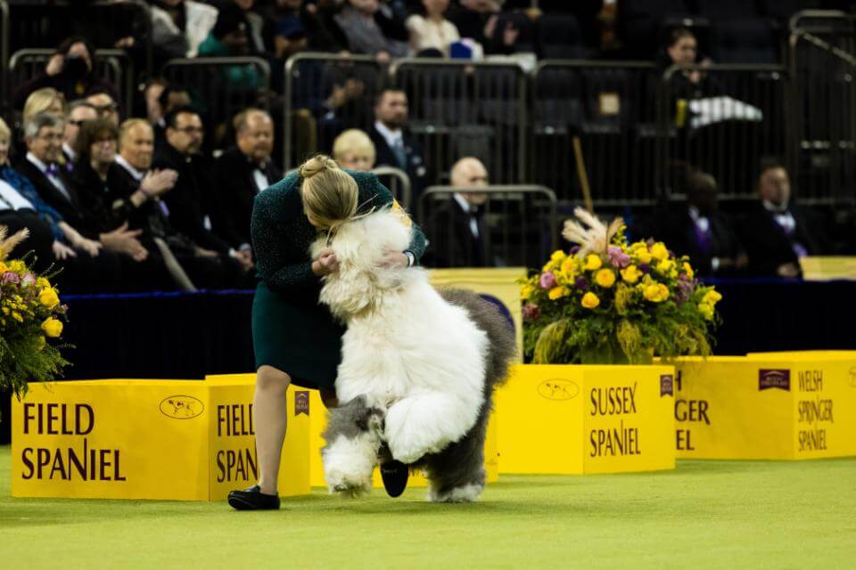 Taylor Johnson and Old English Sheepdog