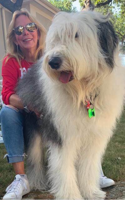 Allison LaField and Old English Sheepdog