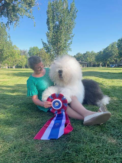 Taylor Johnson and Old English Sheepdog