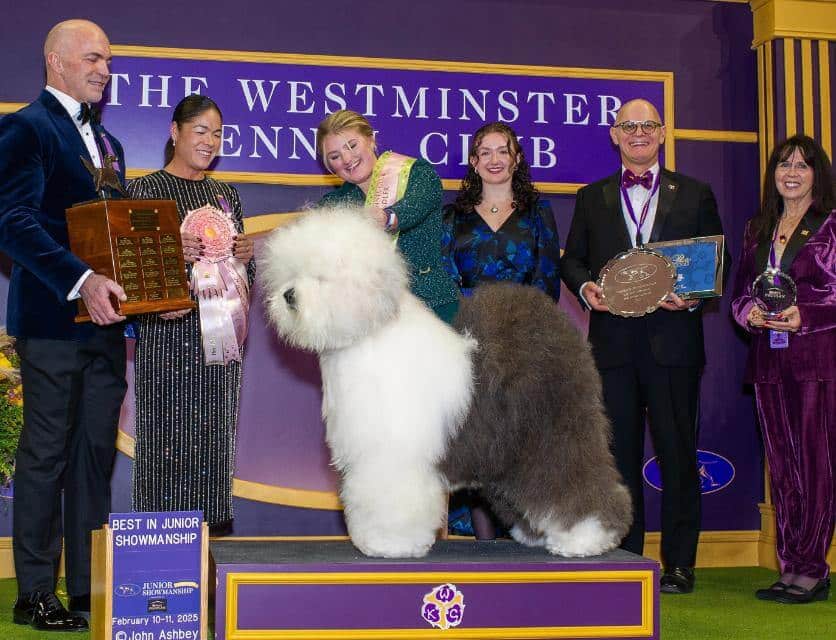 Taylor Johnson and Old English Sheepdog