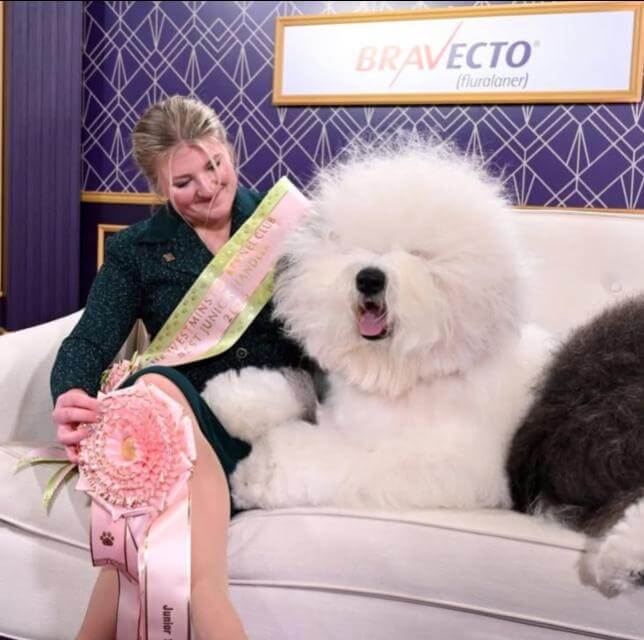 Taylor Johnson and Old English Sheepdog