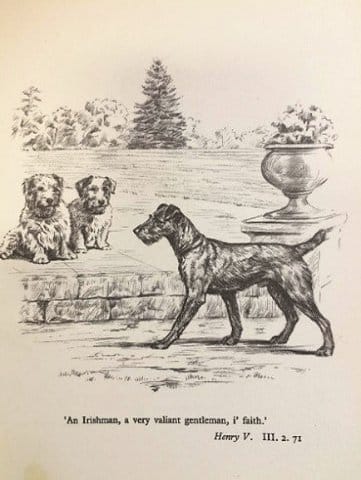 Illustration from Shakespeare at the Kennels by Persis Kirmse. image courtesy of author