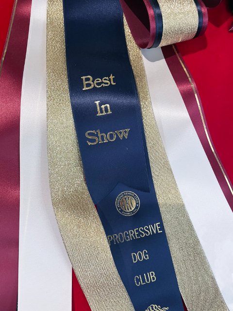 2025 Progressive BIS Rosette