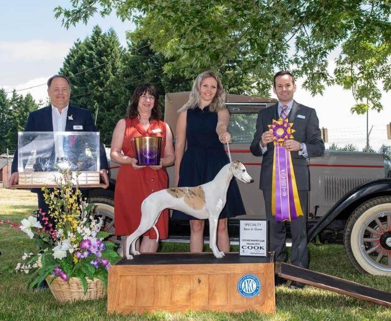 Joseph Buchanan awarding Best in Specialty at the Cascade Whippet Club in 2019