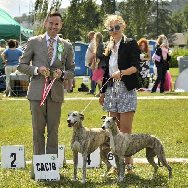 Joseph Buchanan judging Whippets at the DUO CACIB 2024 show in Poland