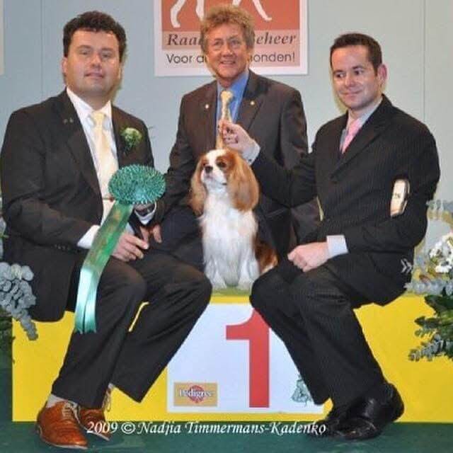 Joseph Buchanan and Vinchy, Vinchy VH Lamslag Of Piccadil, going Best in Show at Amsterdam Winner 2009