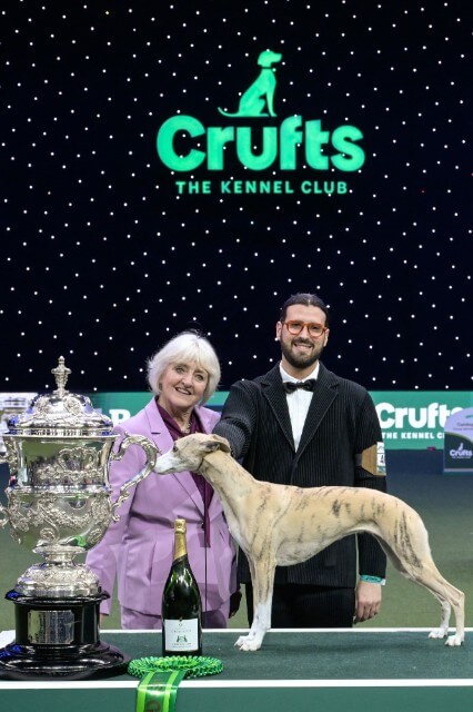 Crufts 2025 Winner