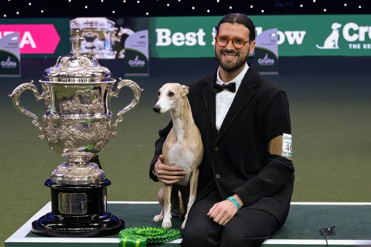 Crufts 2025 Best in Show