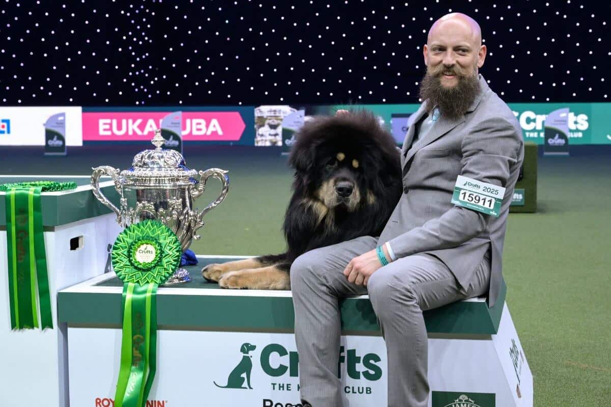 Crufts 2025 Reserve Best in Show