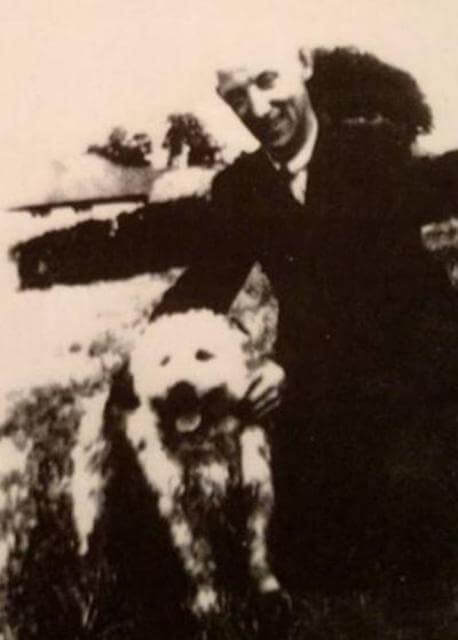 Glen of Imaal Terrier