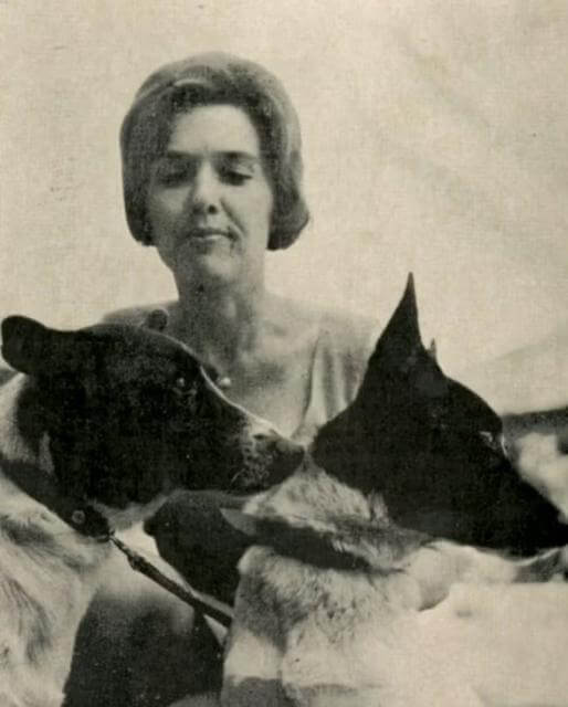 Canaan Dog