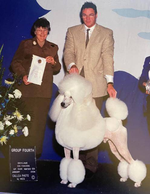 Poodle