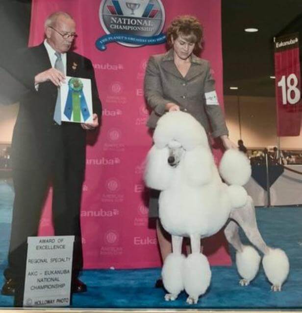Poodle