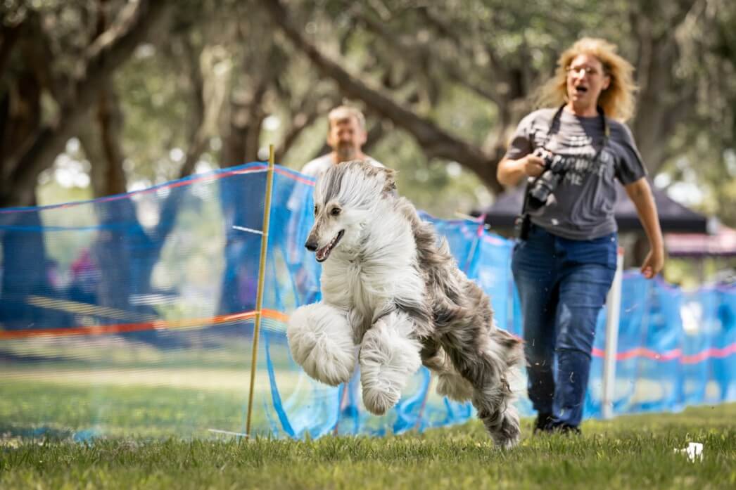 Releasing and cheering Khalil at a Fast CAT run.