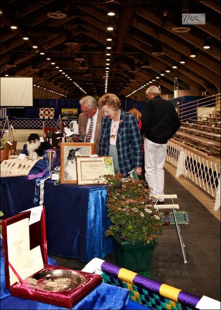 Auction