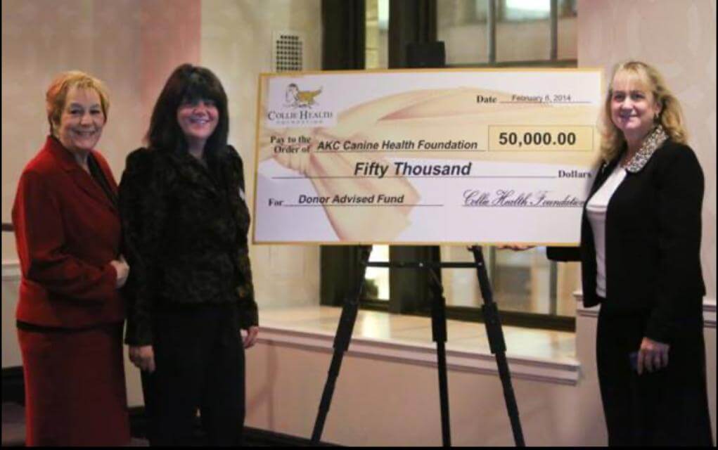 Big check