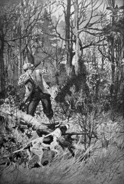 “No Time to Think” (Shooting Ruffed Grouse in Dense Cover)