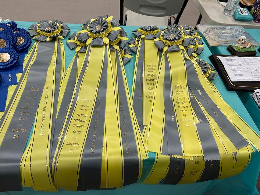 Versatility Program Rosettes 2025, photo by S. Wolfskill