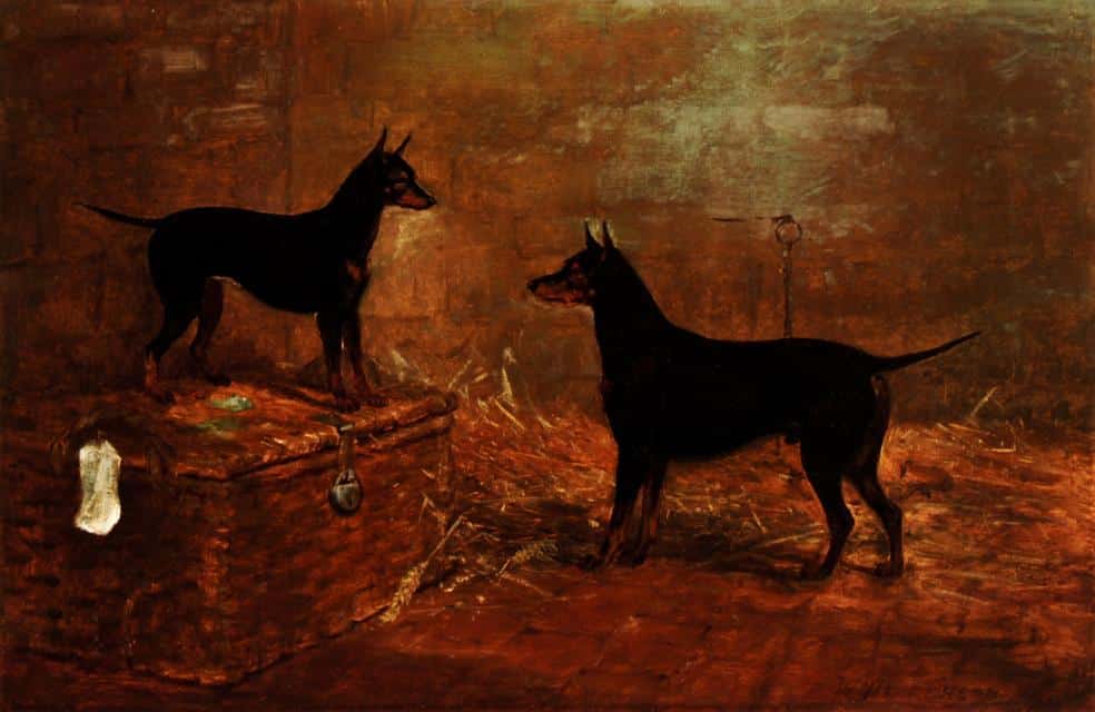 Another historical piece, circa 1870s by William Henderson of Belcher and Lady Dot, shows the similarity between two differently sized Black andTan Terriers.