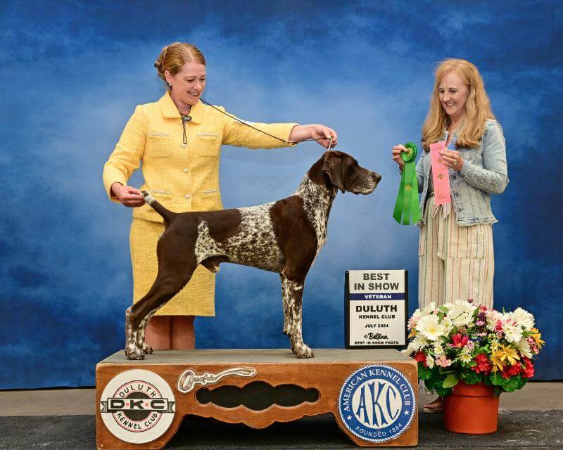 JJ-Best-Vet-in-Show