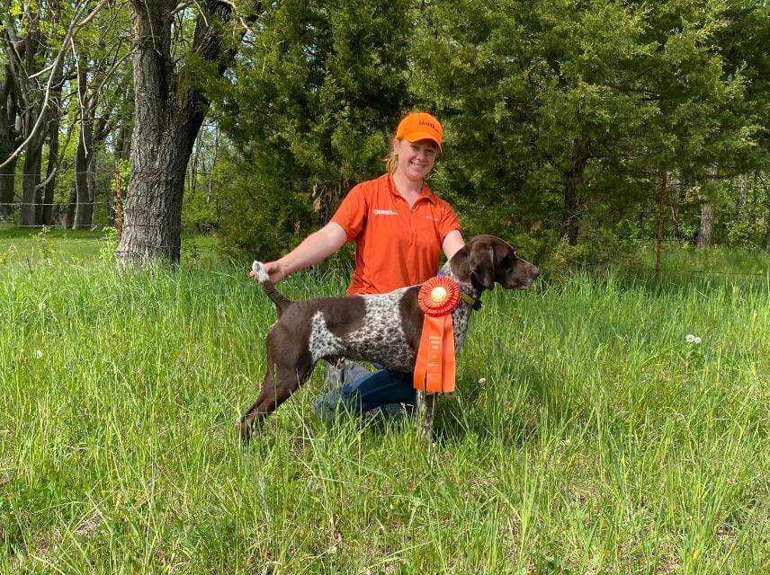 “JJ,” MBISS MBISOH GCHG CHRISHELLE’S I LOVE ROCK ‘N ROLLCDX RAE RM MH CGC VCX, pictured with Master Hunter ribbon and as Best in Show Veteran