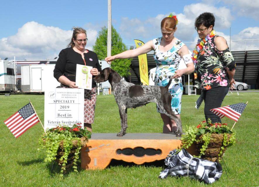 “Tori,” GCH BERBER TOUAREG AUS DEM NORDEN BN RE JH CGC VCROMXX, pictured as a veteran with Breeder Mary Morris of Aus Dem Norden GSPs